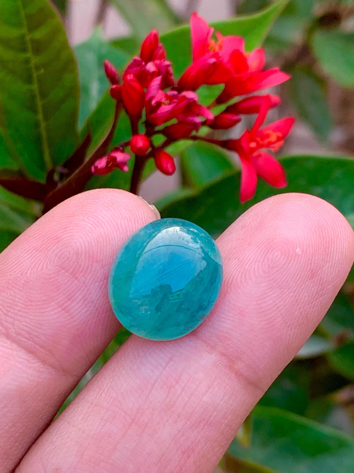 Grandidierite Cabochon: Rare Bluish-Green Gemstone from Madagascar (11.80 CT