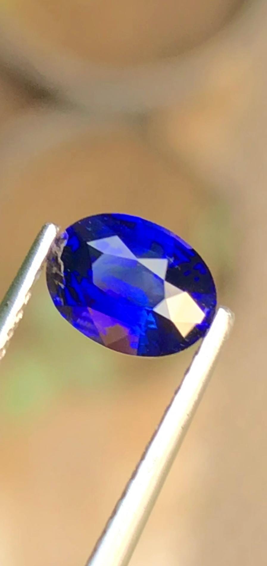 Royal Blue Sapphire 1.17ct Oval Cut Madagascar – Certified Faceted Gemstone