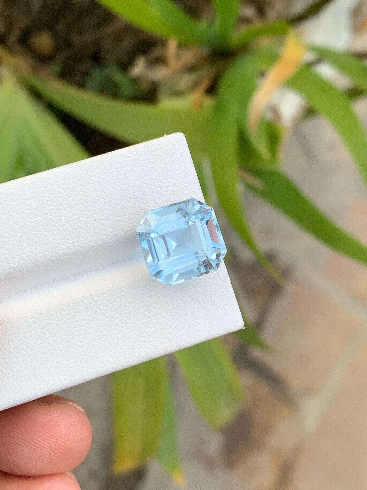 Santa Maria Blue Aquamarine Gemstone: 8.85 CT VVS Square Cut