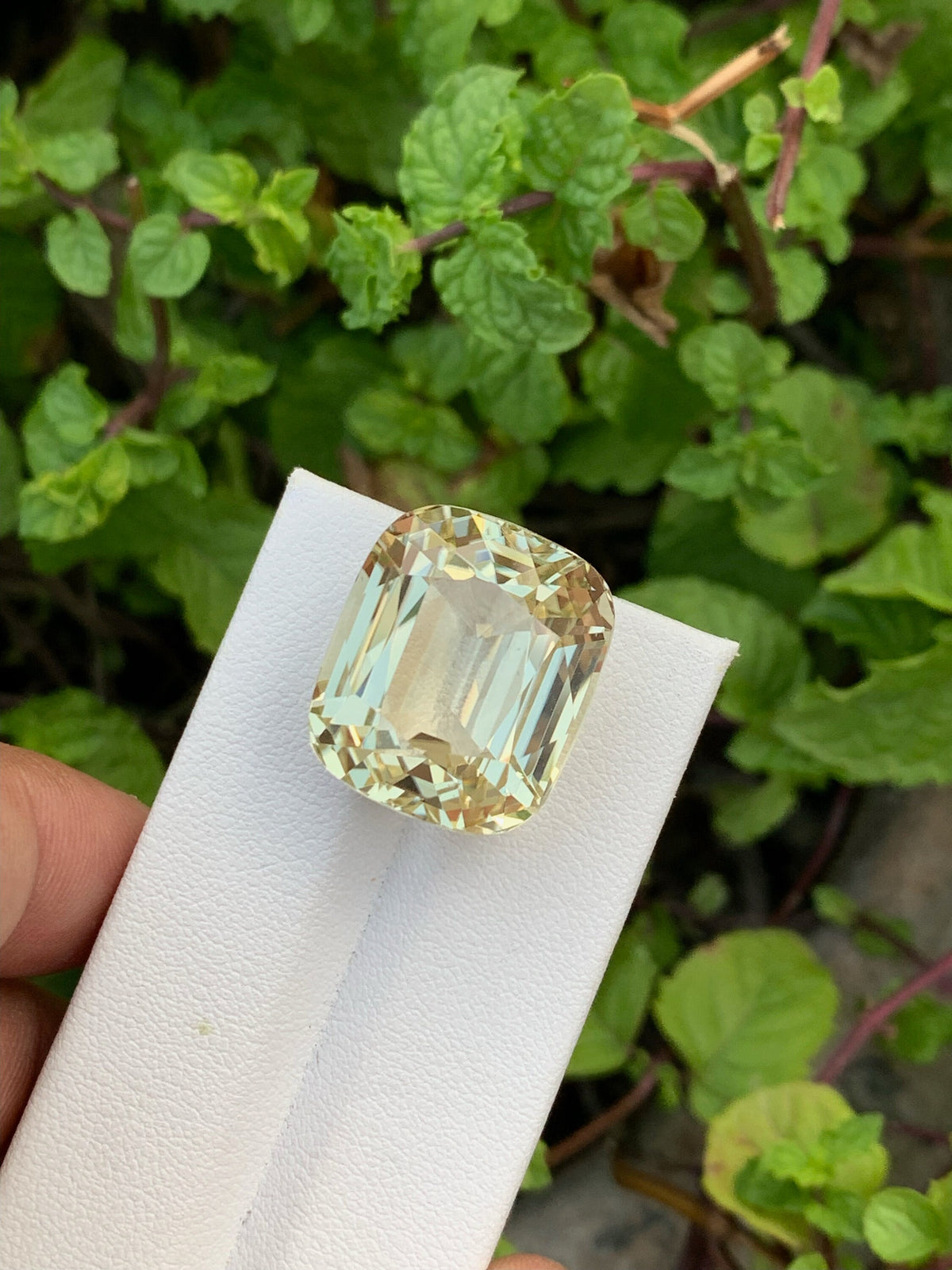 Canary Yellow Kunzite Gemstone: 42.10 CT Cushion Cut Triphane