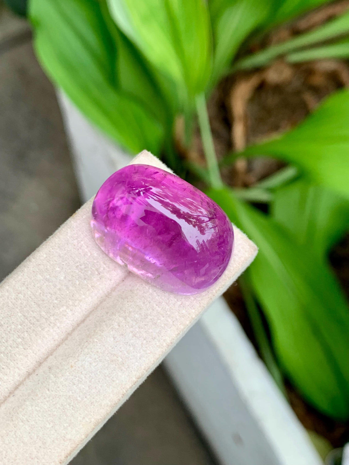 101.95 Carat Natural Deep Pink Kunzite – Large Oval Cabochon, Afghanistan Origin, Collector’s Gemstone