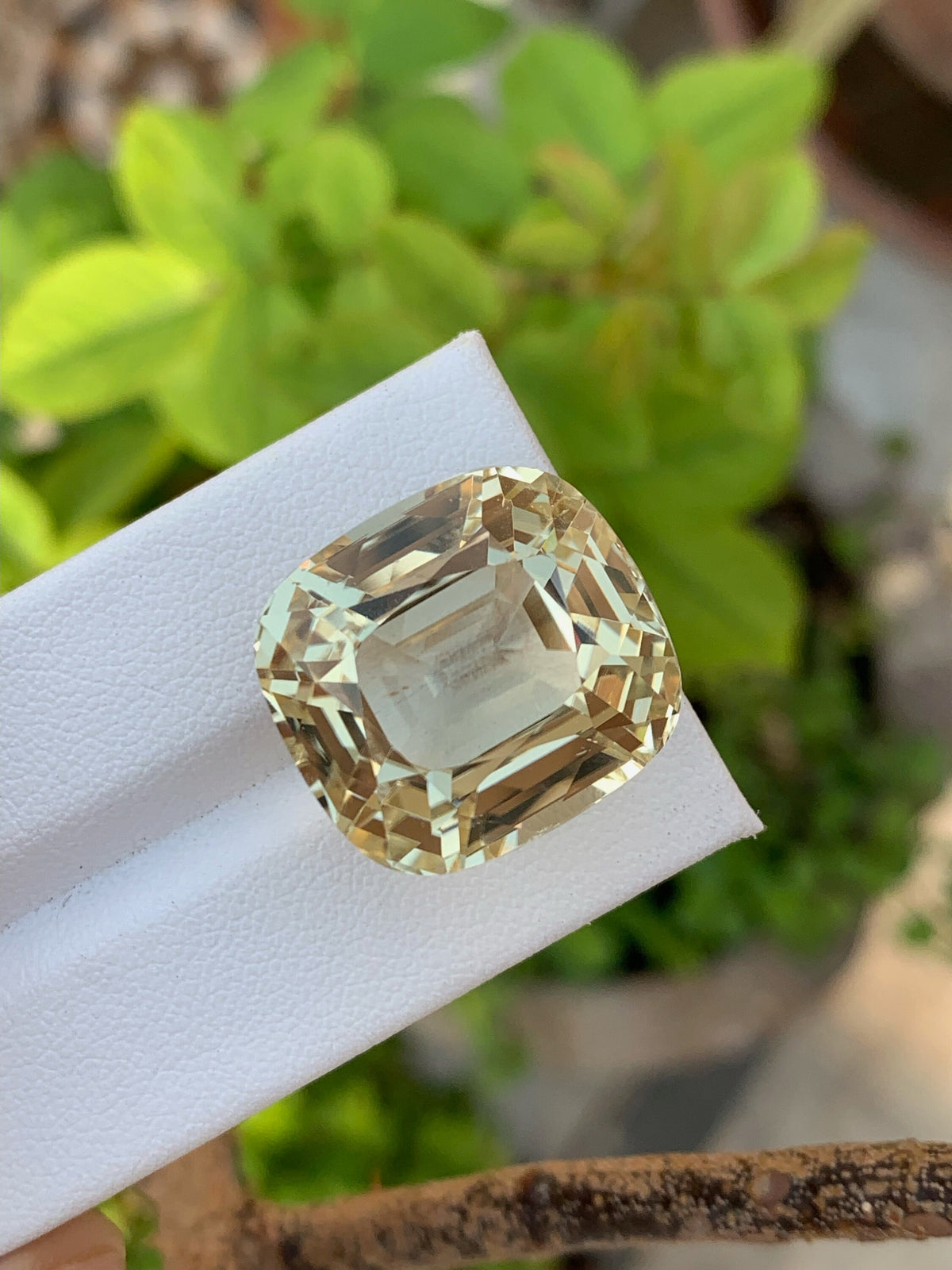 Golden Peach Triphane Var Kunzite Loose Gemstone Cushion Cut ~ 51.65 Carats