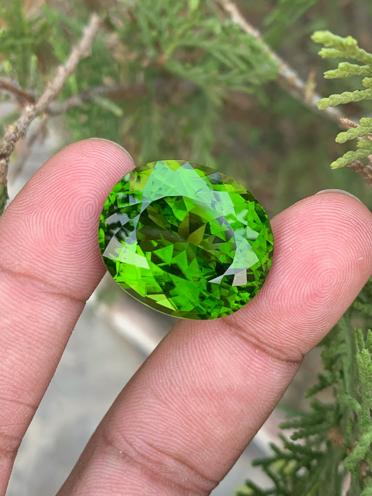 Lime Green Peridot Gemstone: 52.70 Carat Oval August Birthstone