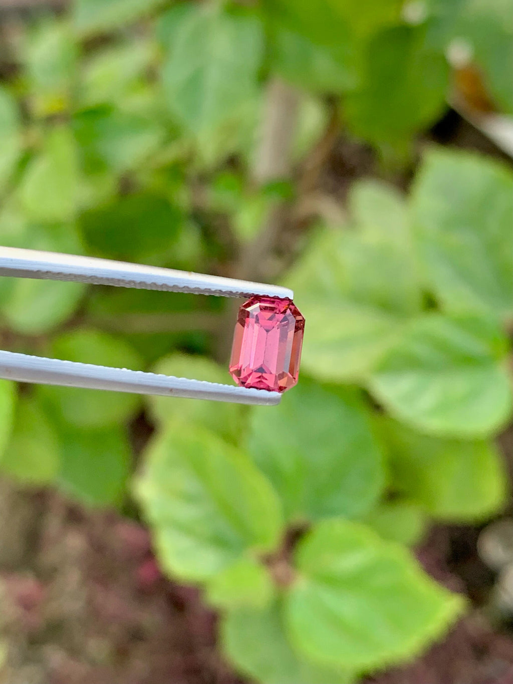 Pink Tourmaline Gemstone: 1.70 CT Emerald Cut, October Birthstone