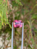 Pink Tourmaline Gemstone: 2.85CT Faceted Cushion Cut, October Birthstone