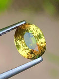 Bi-Color Sapphire Gemstone: 1.50 ct Natural Corundum, Faceted Jewelry Stone