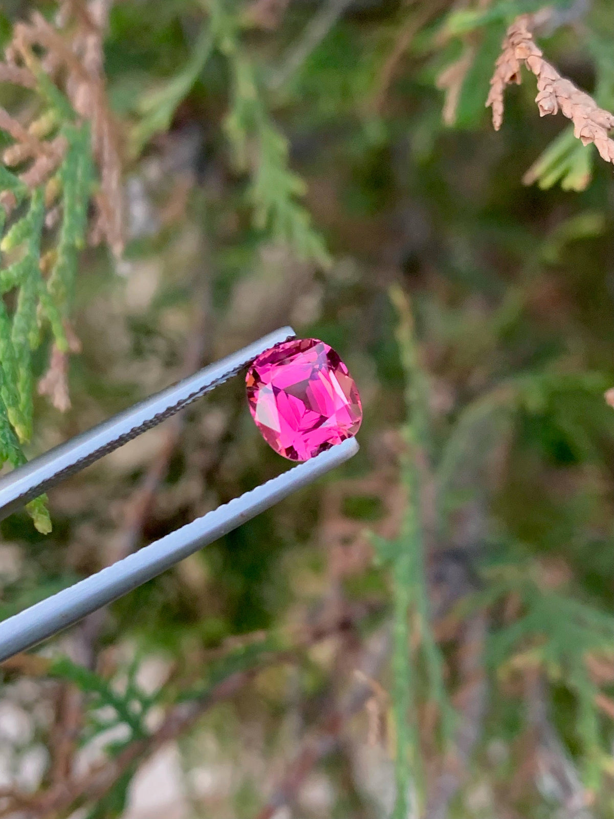 Natural Pink Tourmaline Gemstone: 2.00 CT Cushion Cut, Afghanistan Origin