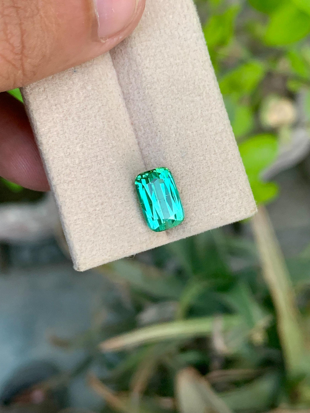 Green Tourmaline Gemstone: 3.70CT Cushion Cut, Afghanistan Origin