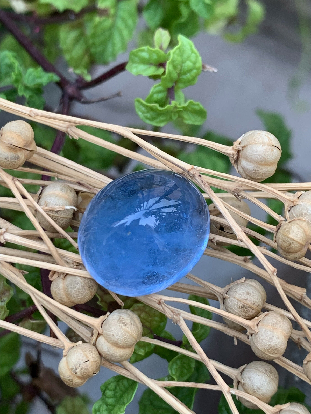 Santa Maria Blue Aquamarine Cabochon: Natural Gemstone, 23.10 CT