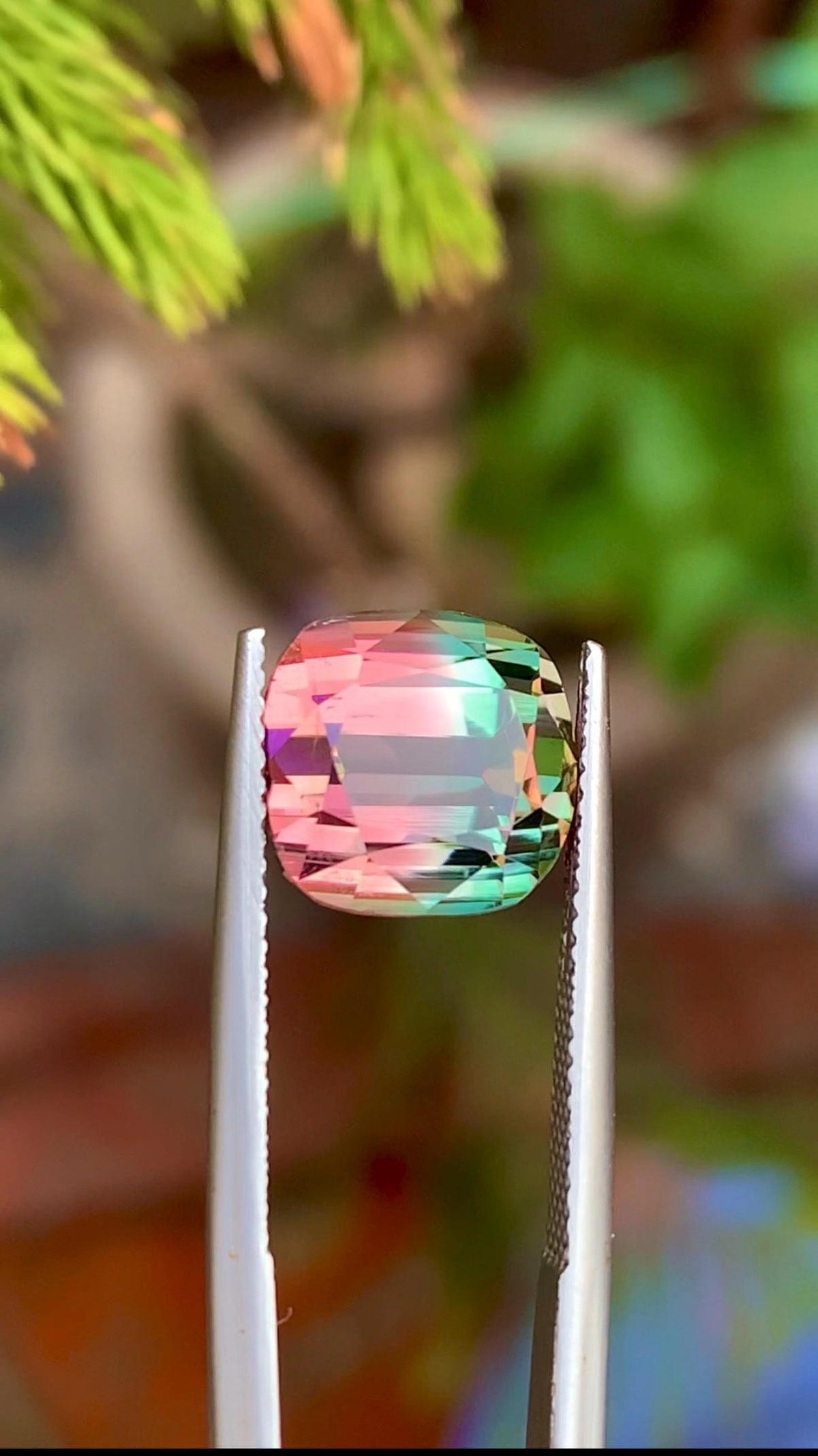 Bi-Color Tourmaline 7.65ct Cushion Cut Gemstone from Afghanistan – Pink & Green Zoning with Vibrant Luster