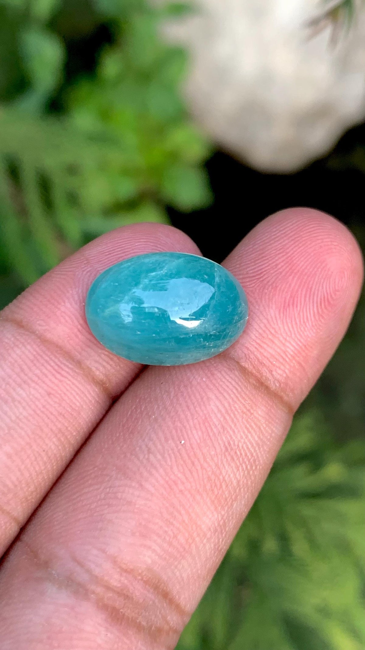 Grandidierite Gemstone Cabochon: Bluish Green, Rare Madagascar Stone, 11.50 Carats