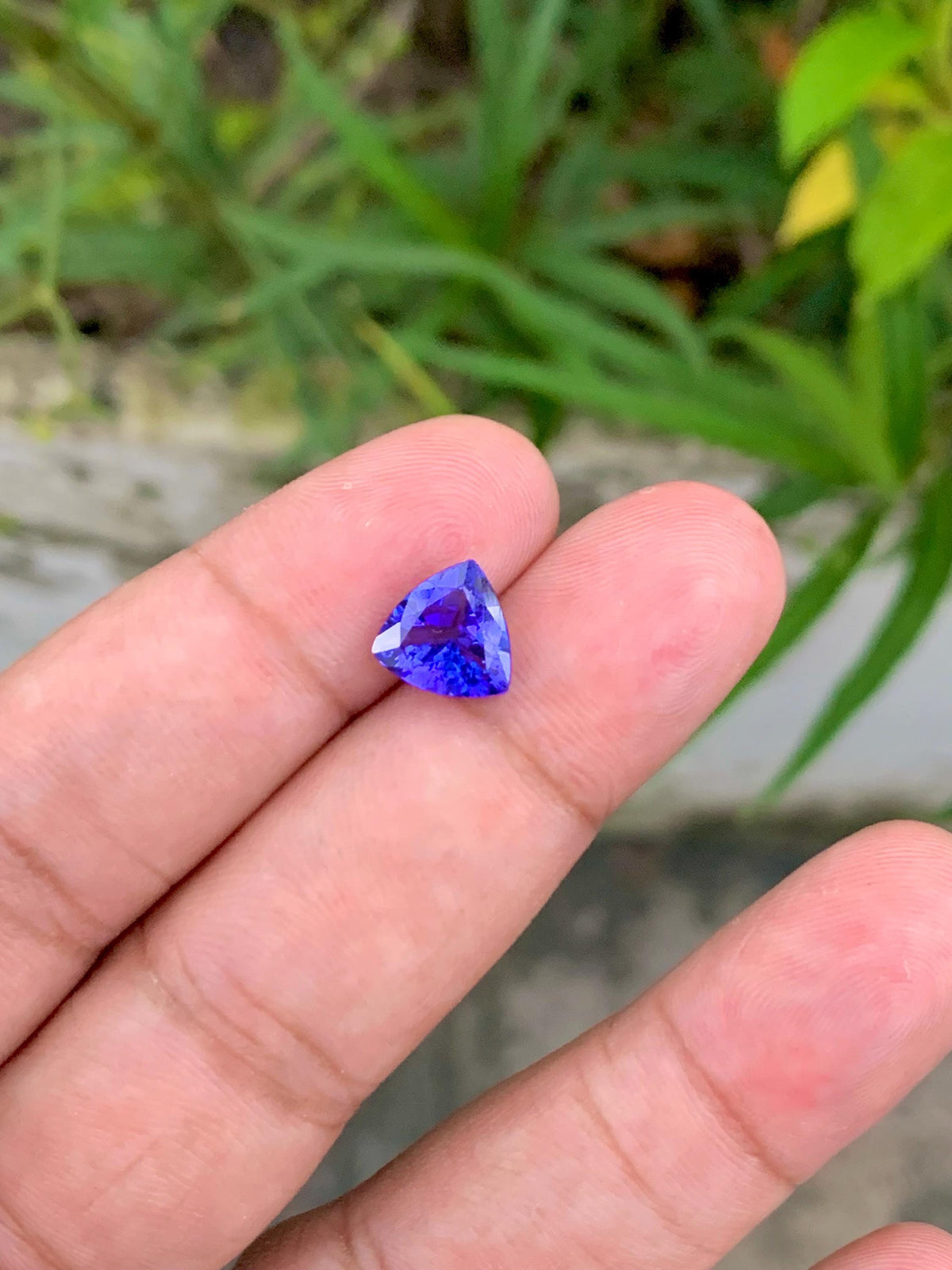 Trillion Cut Tanzanite Gemstone: 2.30 Carat Deep Blue December Birthstone