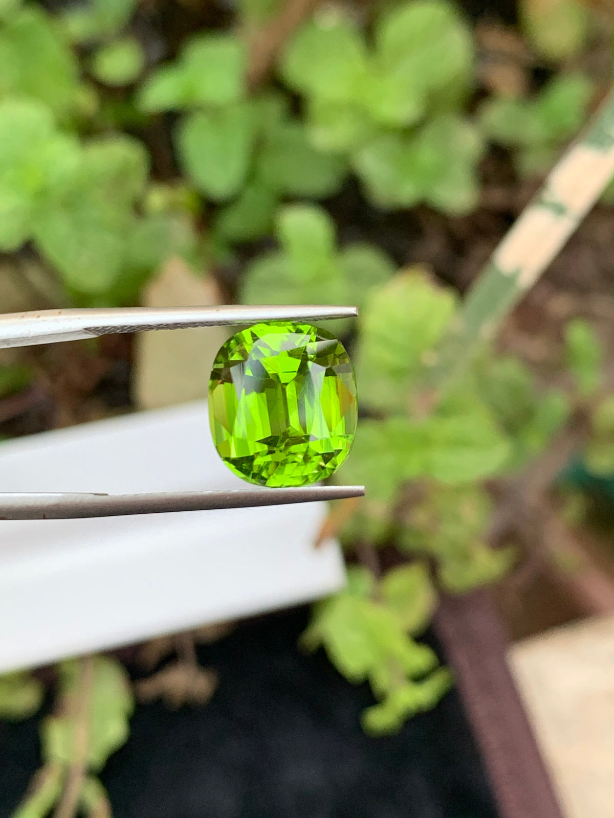 Cushion Cut Olive Peridot Gemstone: Natural VVS Clarity, 6.35 Carat