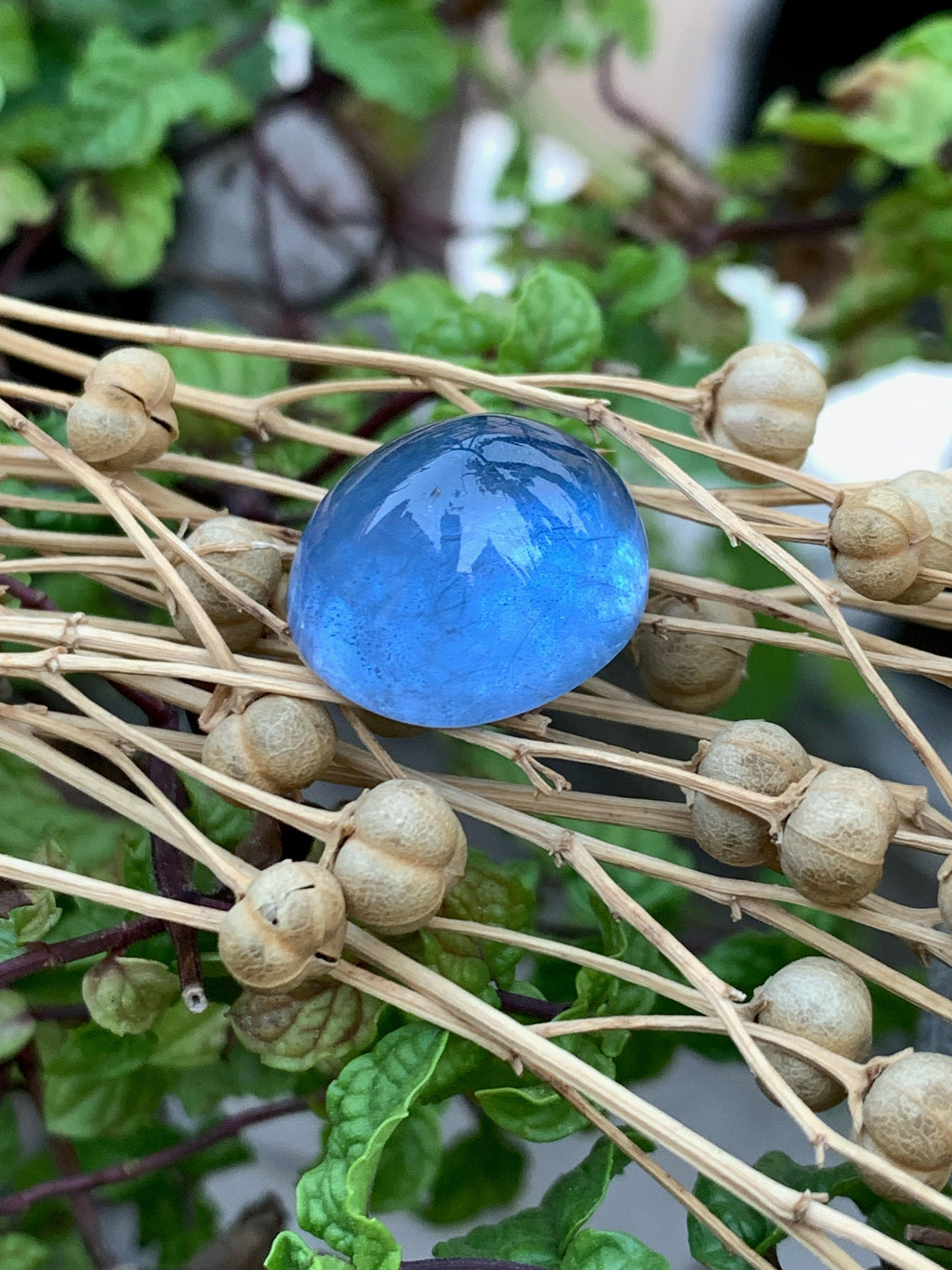 Santa Maria Blue Aquamarine Cabochon: Natural Gemstone, 23.10 CT