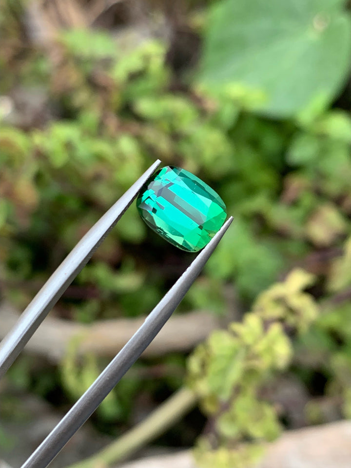 3.35 CT Bluish Green Tourmaline Gemstone: Cushion Cut, Afghanistan