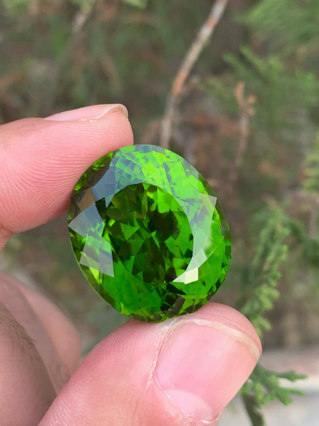 Lime Green Peridot Gemstone: 52.70 Carat Oval August Birthstone