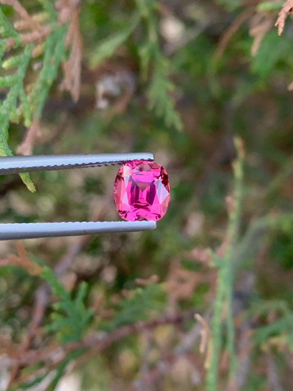 Natural Pink Tourmaline Gemstone: 2.00 CT Cushion Cut, Afghanistan Origin