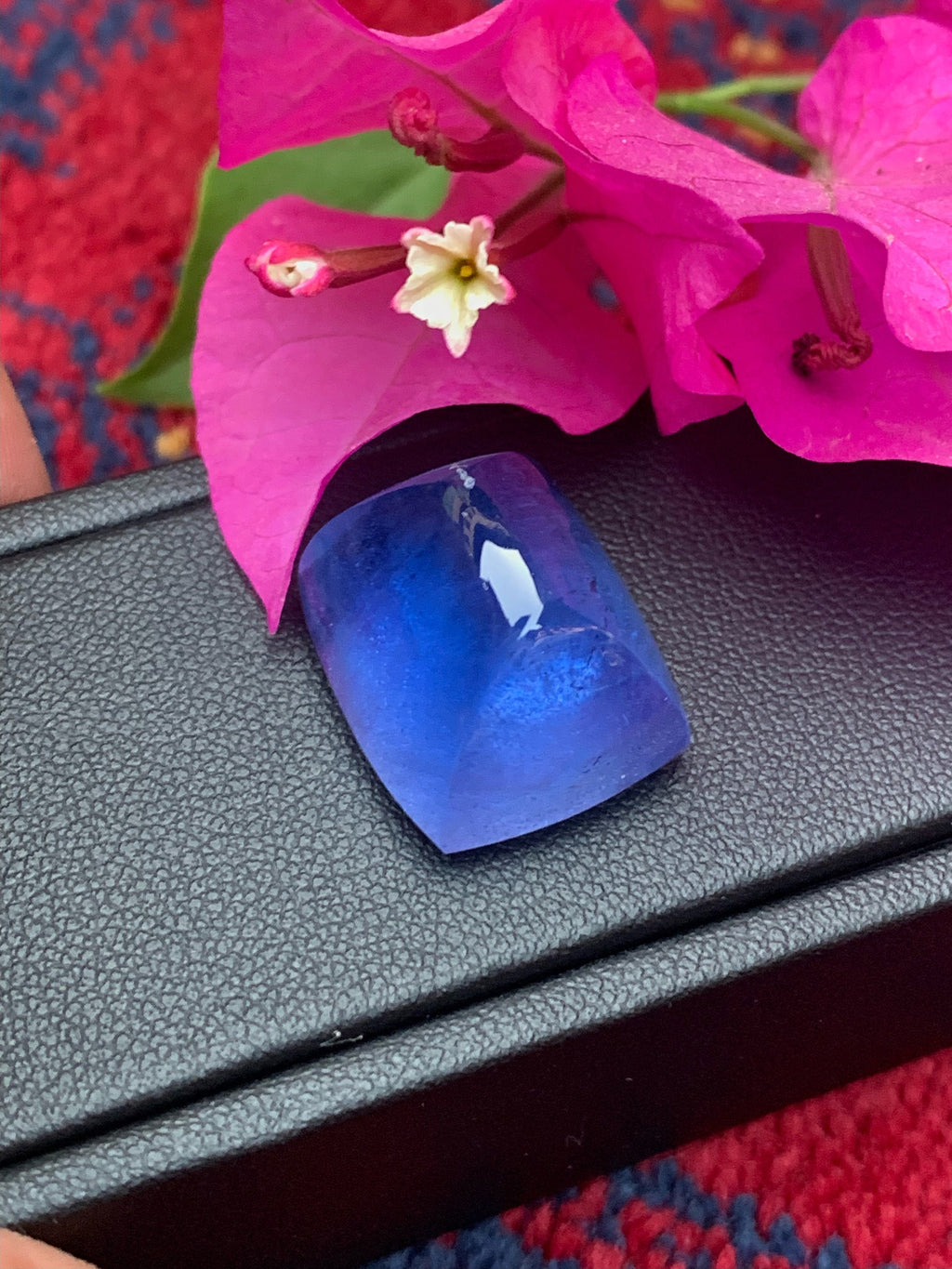 Santa Maria Aquamarine Cabochon: 33.25 Carat Sugarloaf Gem