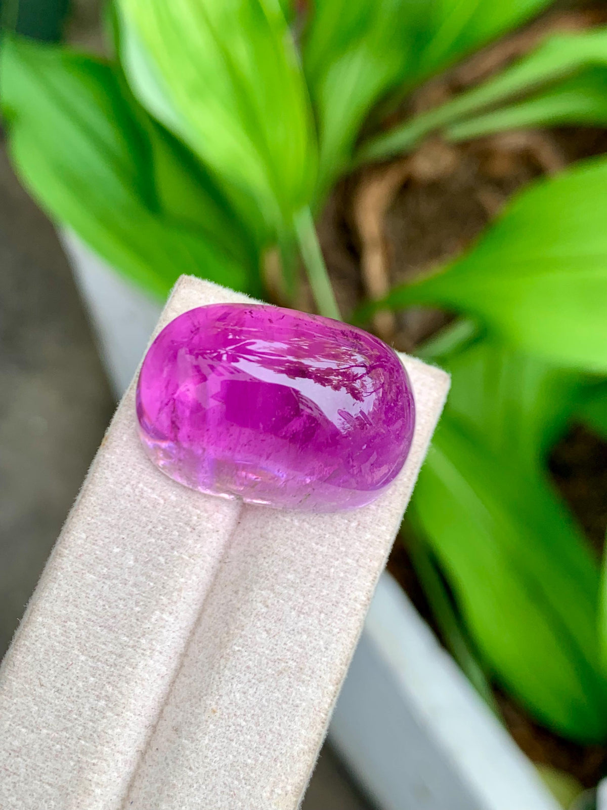 101.95 Carat Natural Deep Pink Kunzite – Large Oval Cabochon, Afghanistan Origin, Collector’s Gemstone