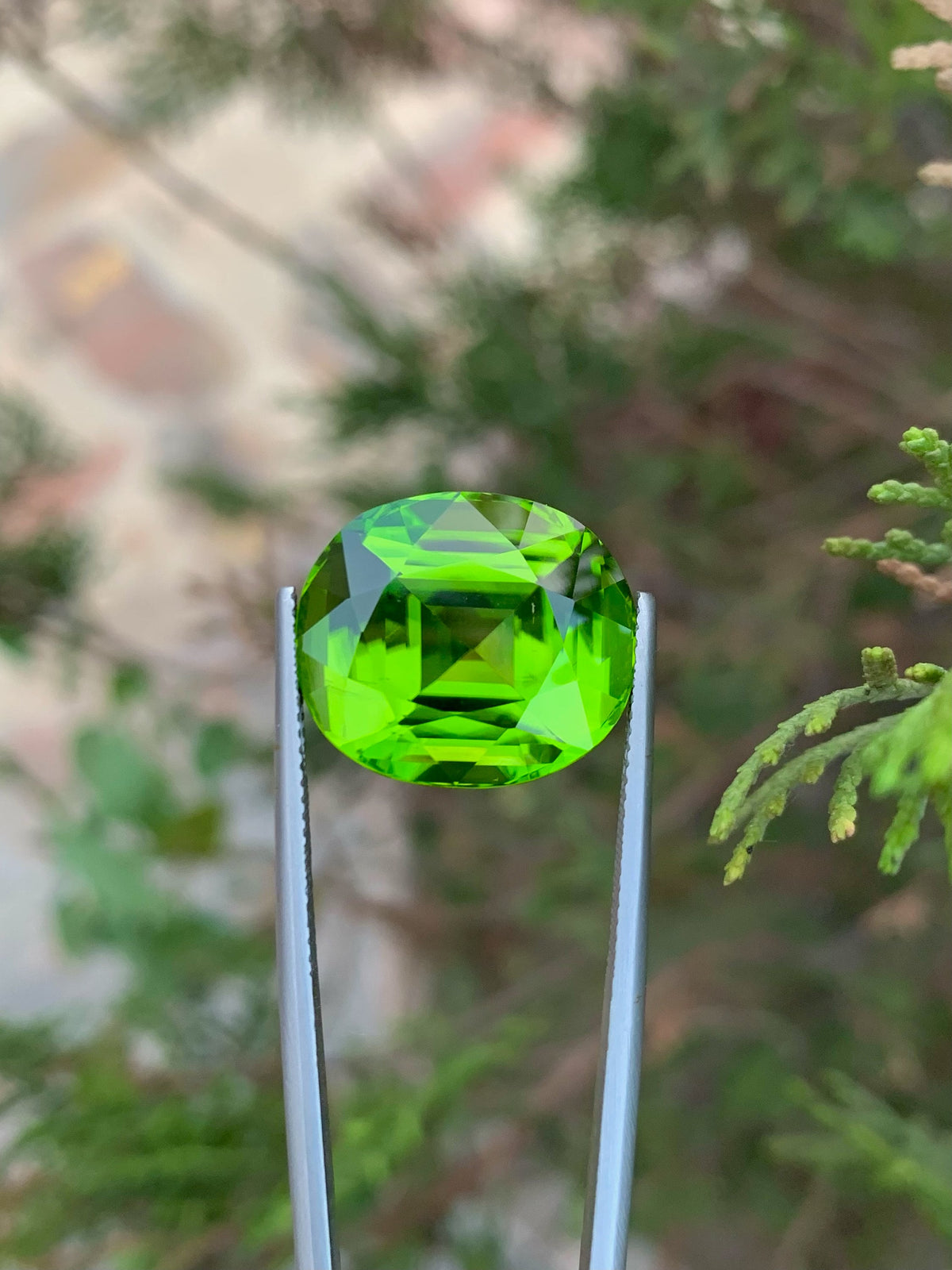 Lime Green Peridot Gemstone: Oval Faceted Cut, 23.10 CT