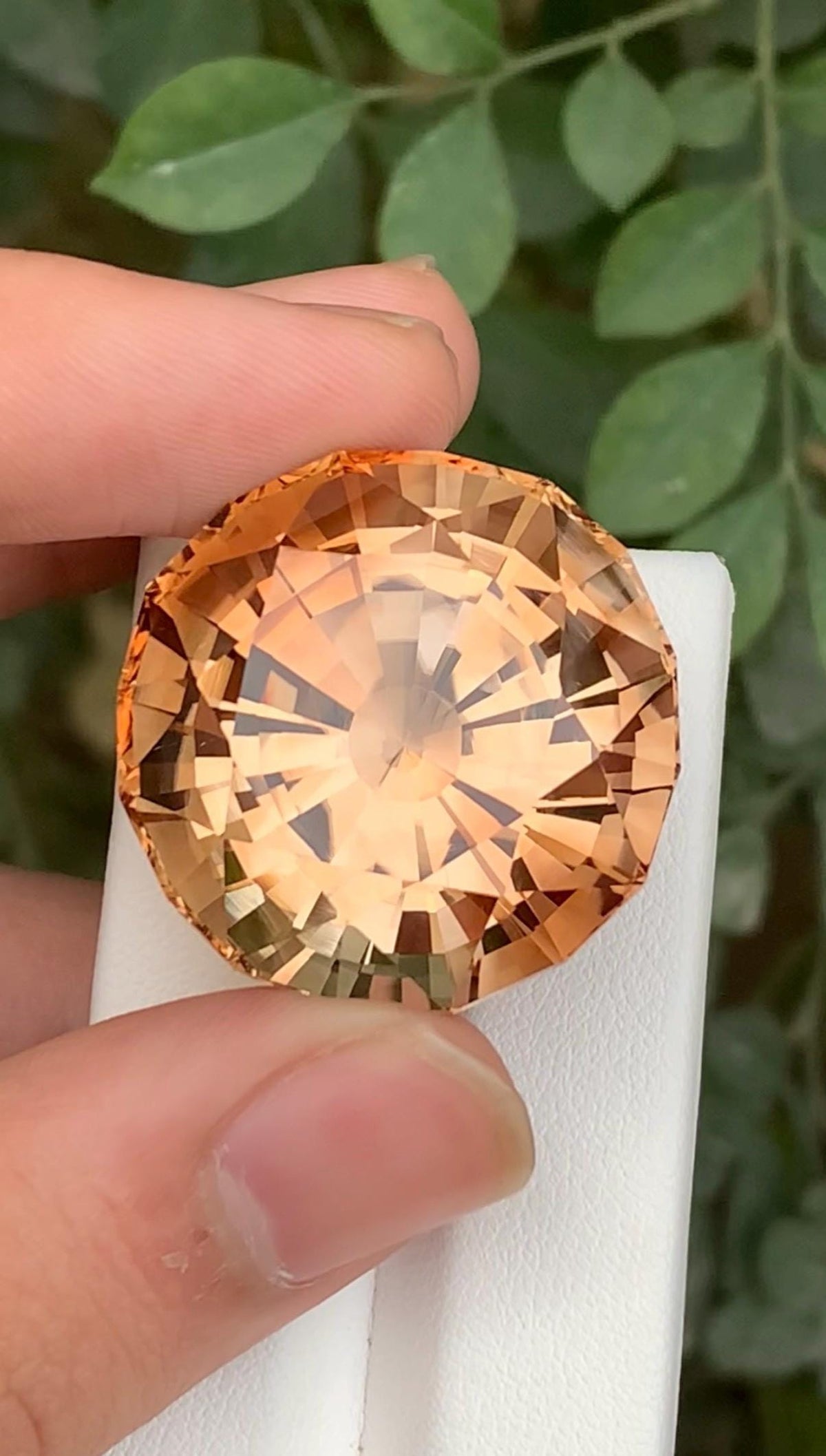 Champagne Topaz 124ct - Cushion Cut - Skardu Pakistan