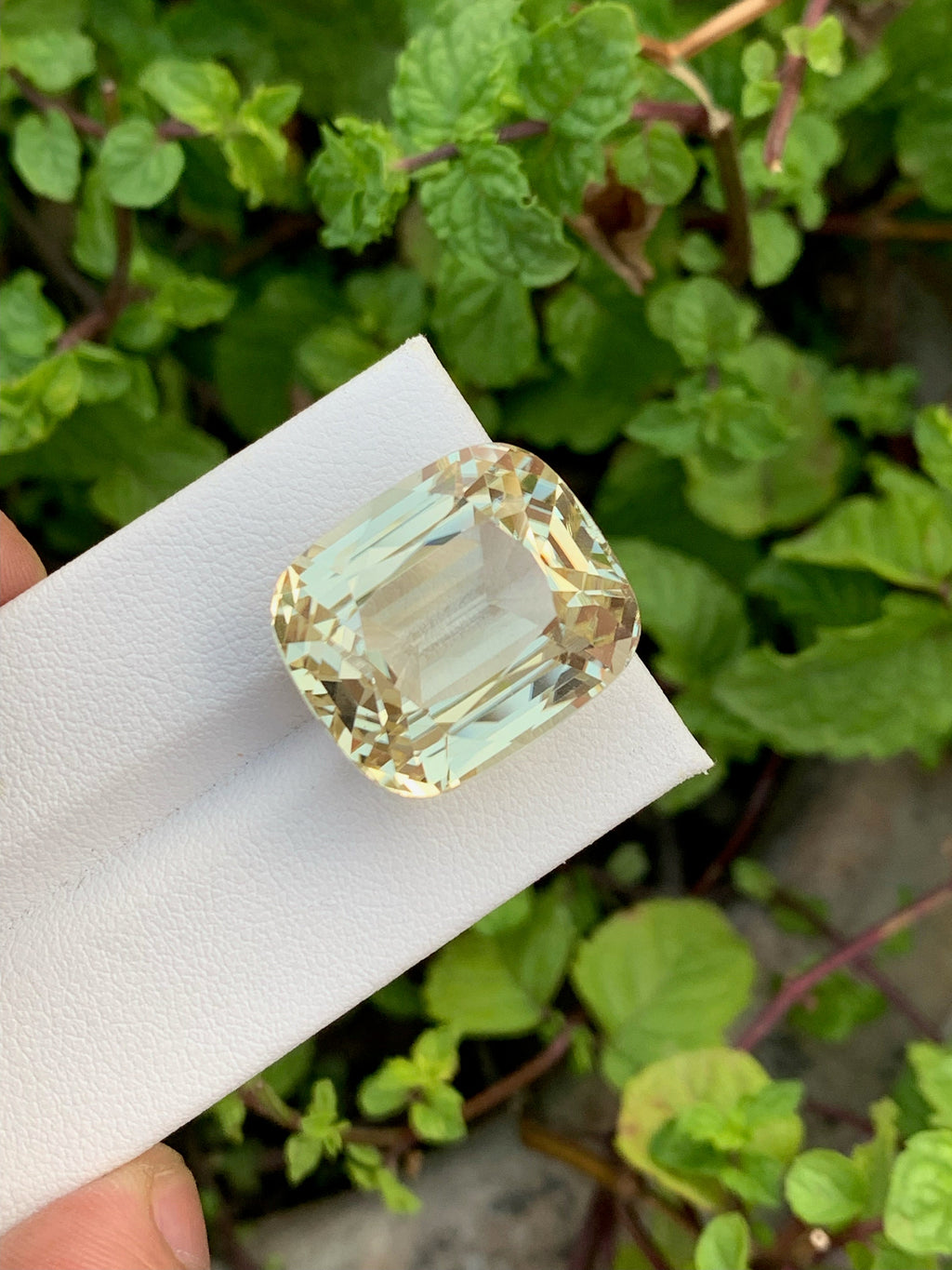 Canary Yellow Kunzite Gemstone: 42.10 CT Cushion Cut Triphane