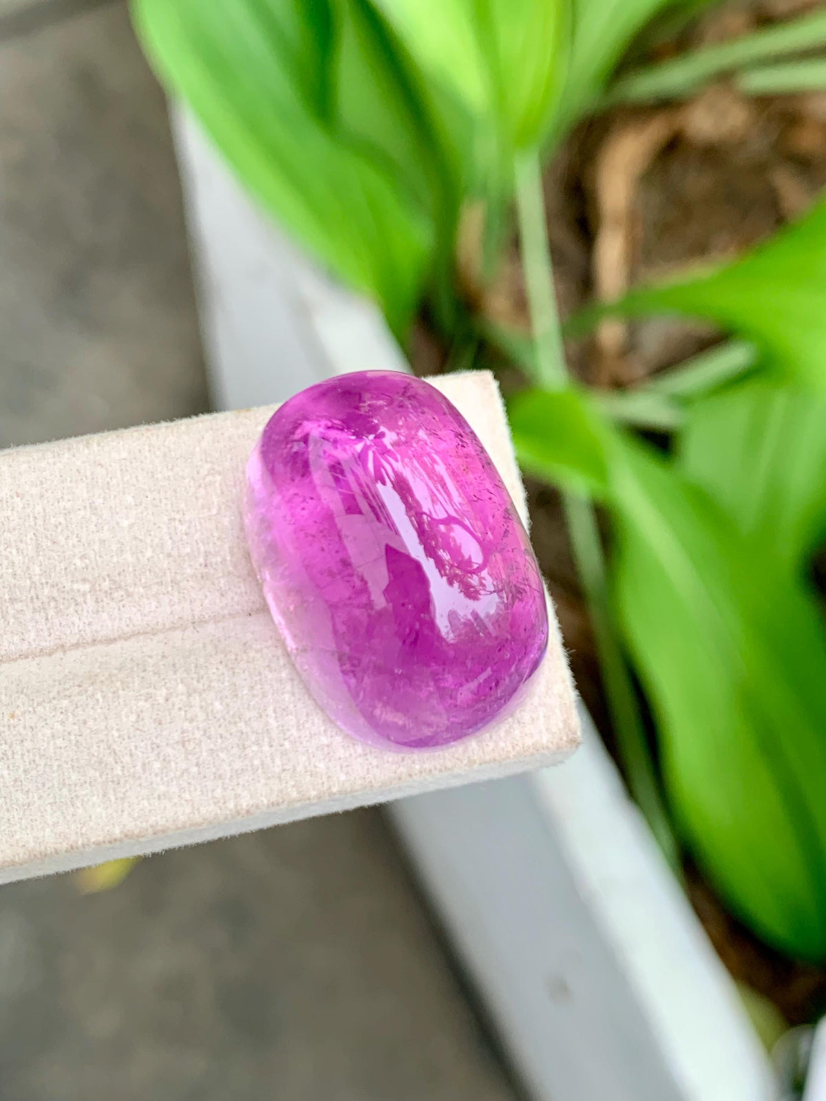 101.95 Carat Natural Deep Pink Kunzite – Large Oval Cabochon, Afghanistan Origin, Collector’s Gemstone