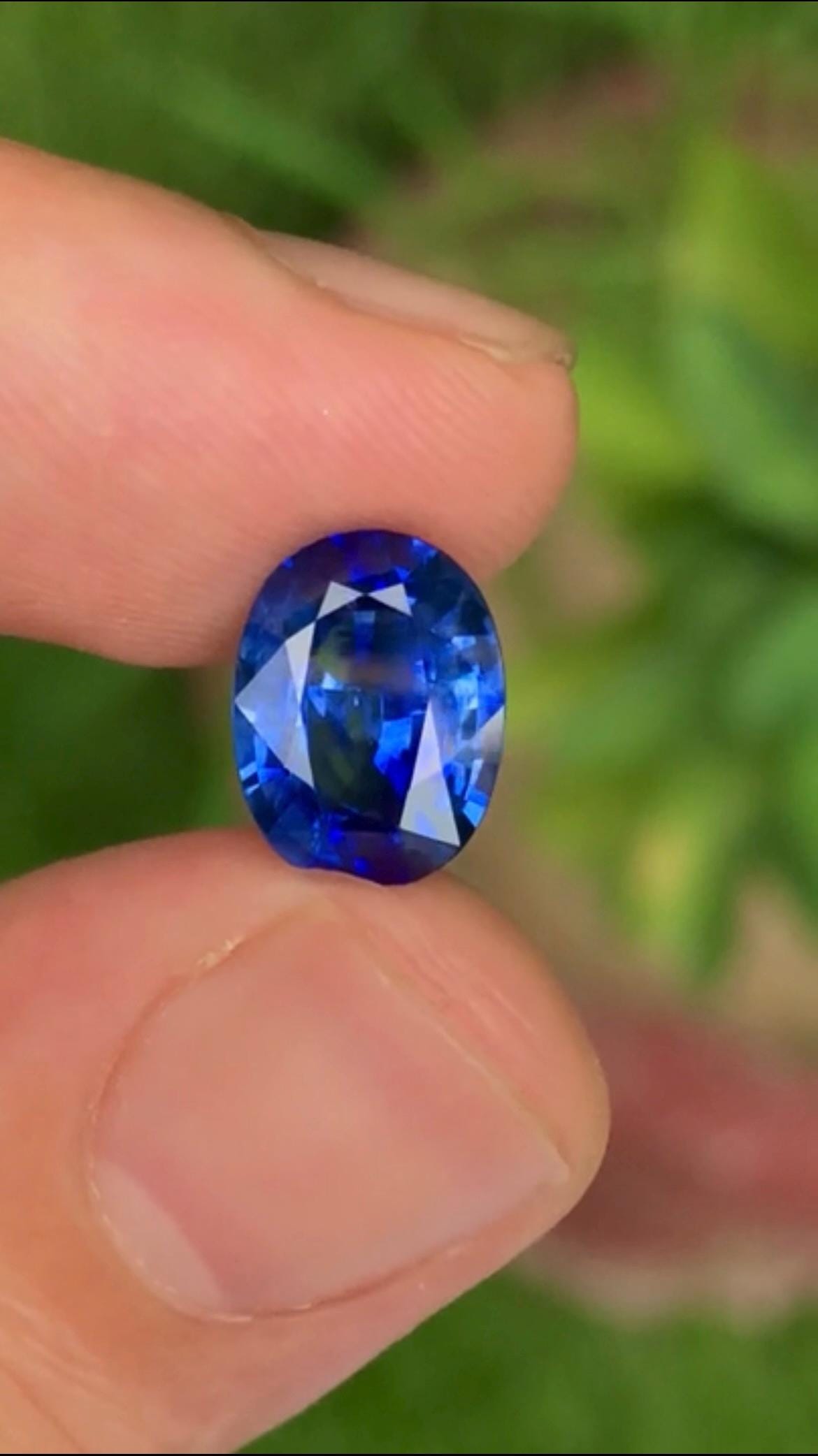 Cornflower Blue Sapphire 3.43ct Oval Cut – Sri Lanka