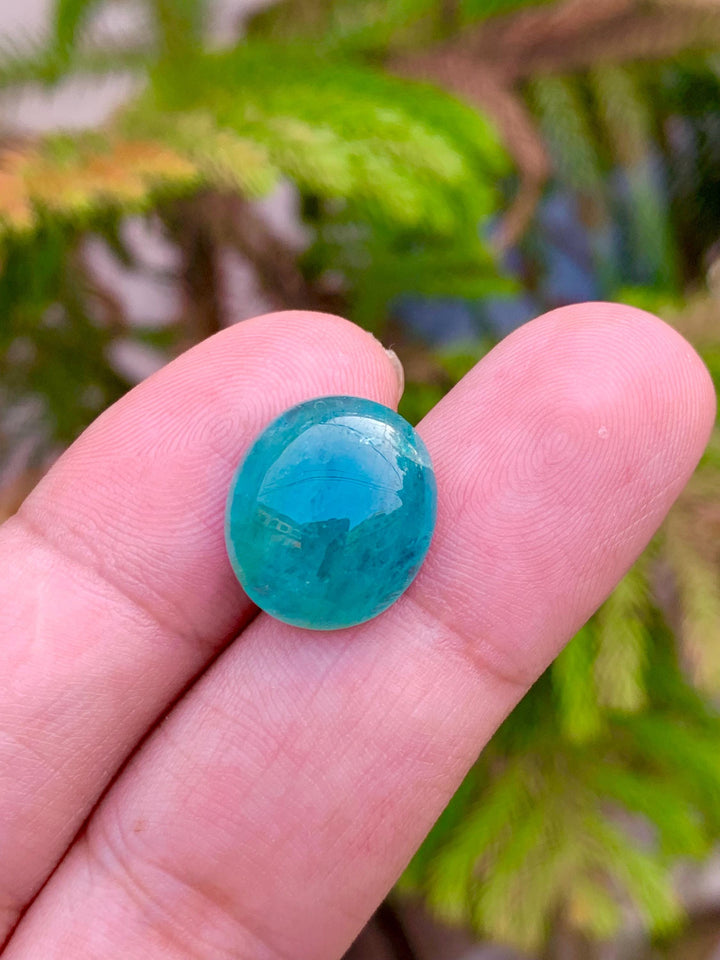 Grandidierite Cabochon: Rare Bluish-Green Gemstone from Madagascar (11.80 CT
