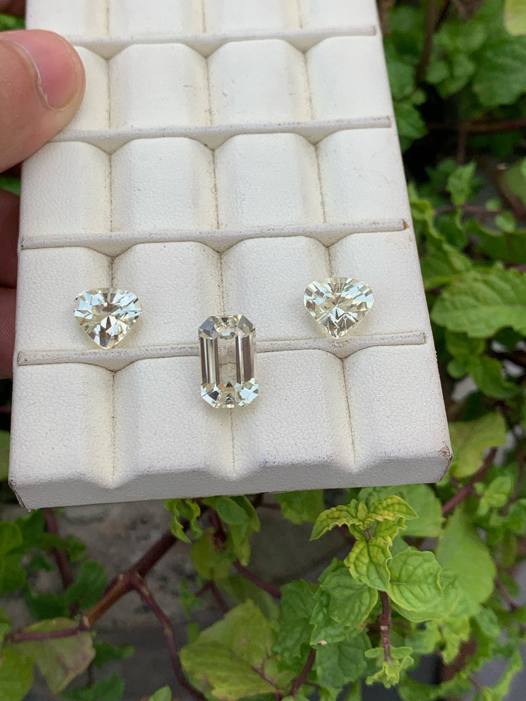 Natural yellow Kunzite set Gemstones - 15.05 Carats