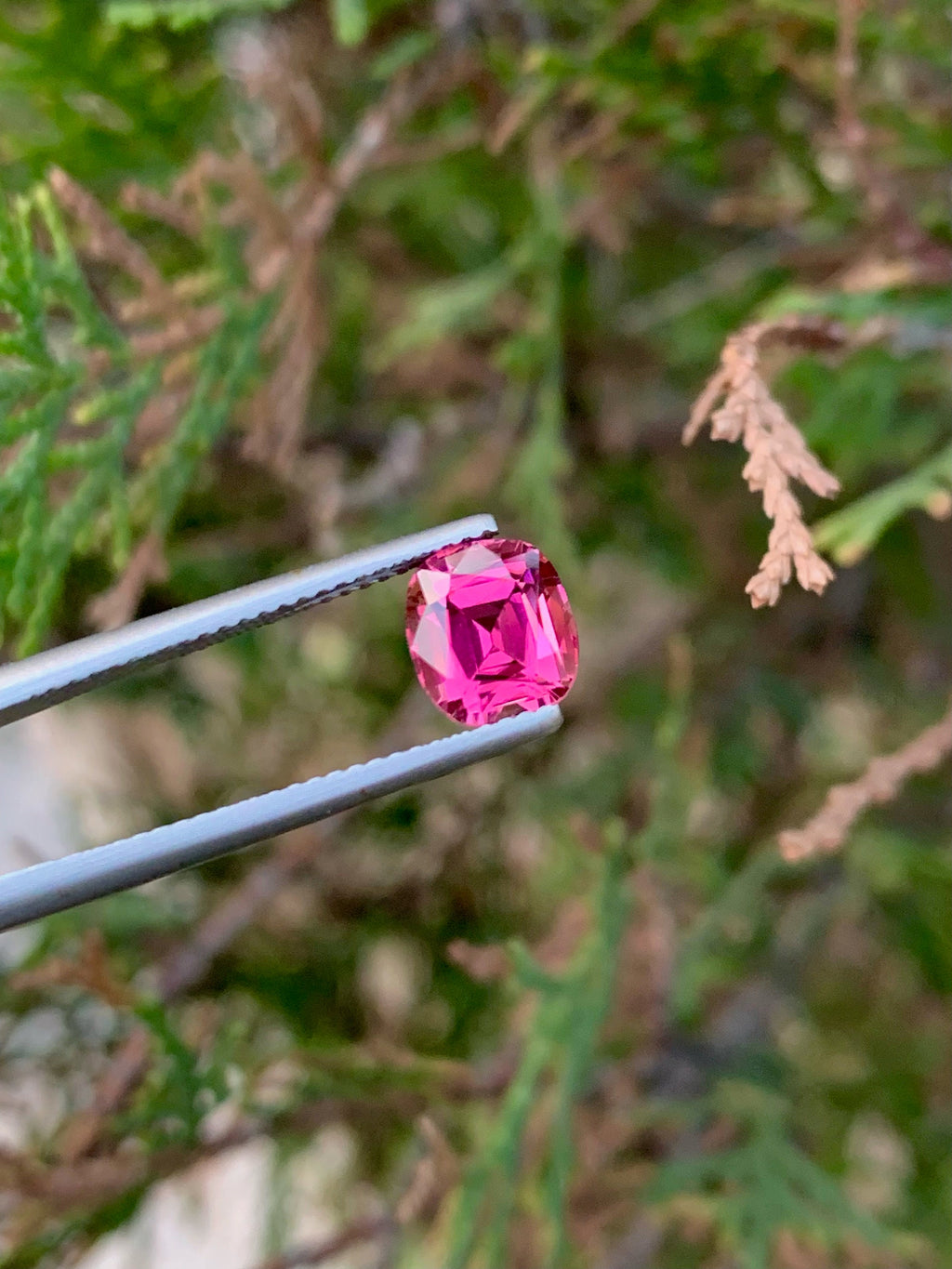Natural Pink Tourmaline Gemstone: 2.00 CT Cushion Cut, Afghanistan Origin