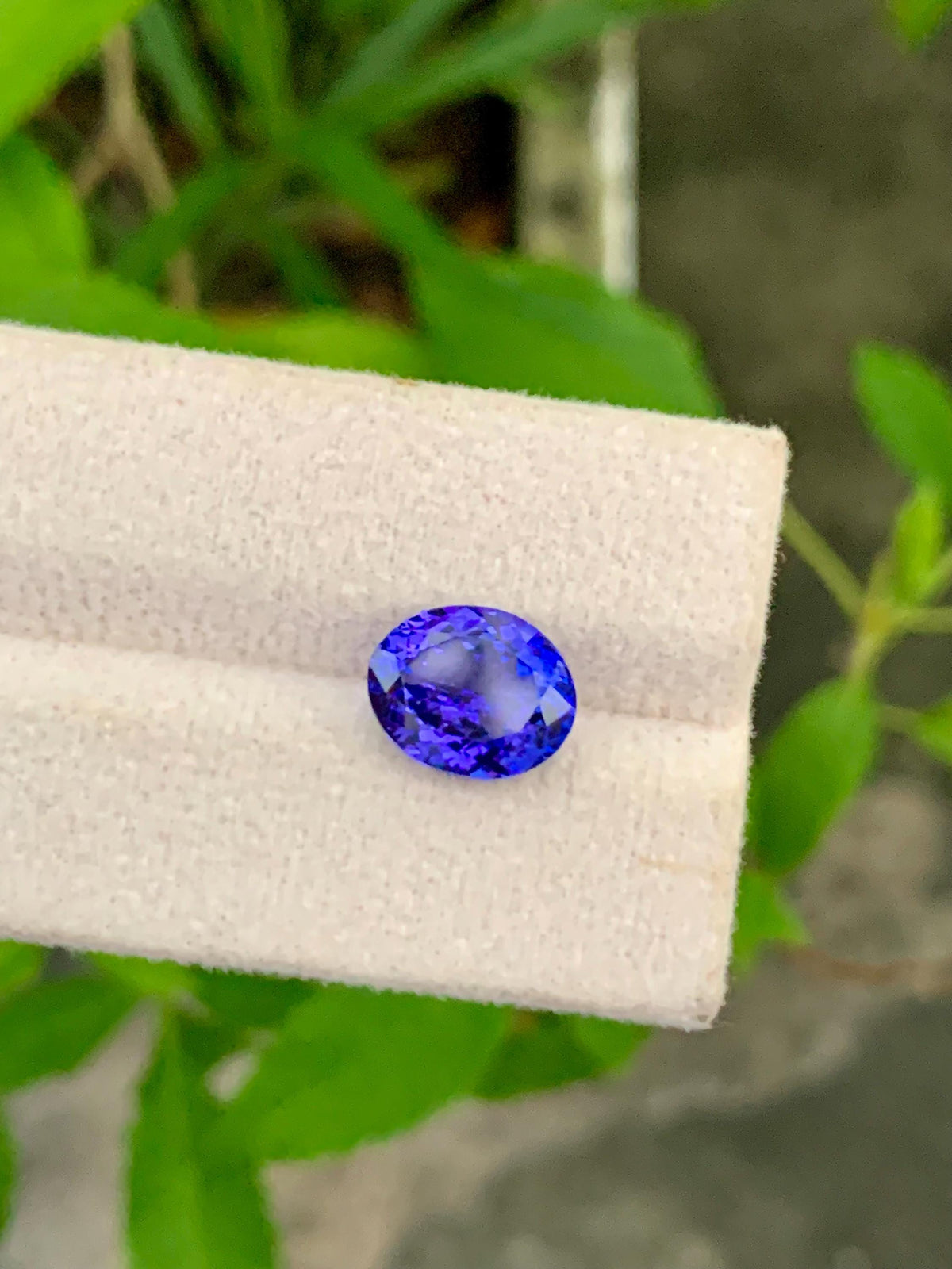 Oval Tanzanite Gemstone: December Birthstone, Jewelry Making (2.02 Carat, 12x9.5x6.5mm)