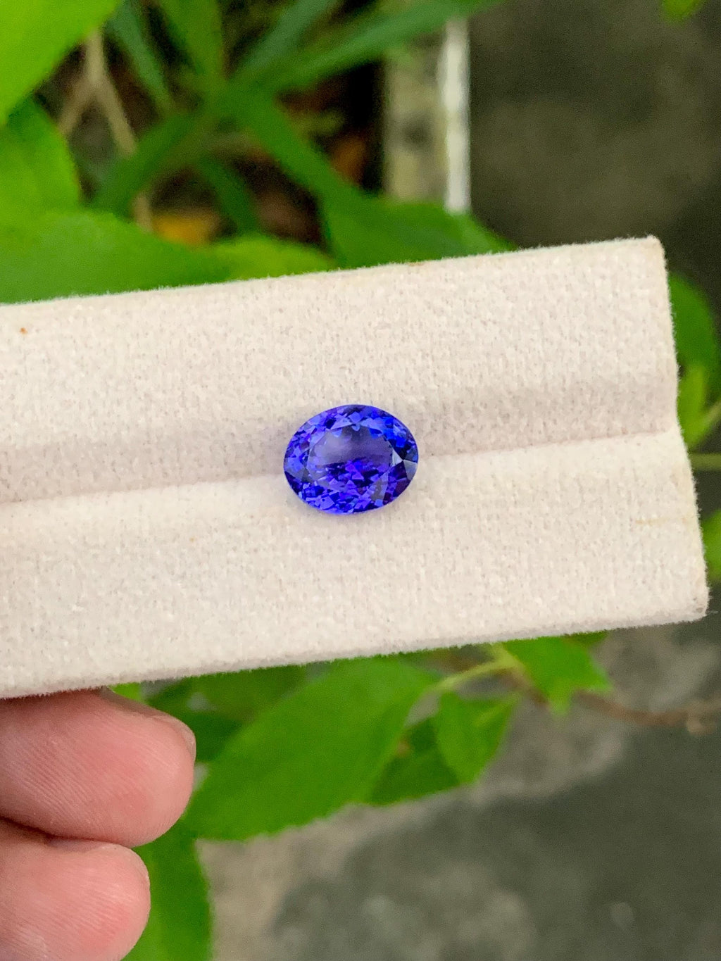Oval Tanzanite Gemstone: December Birthstone, Jewelry Making (2.02 Carat, 12x9.5x6.5mm)