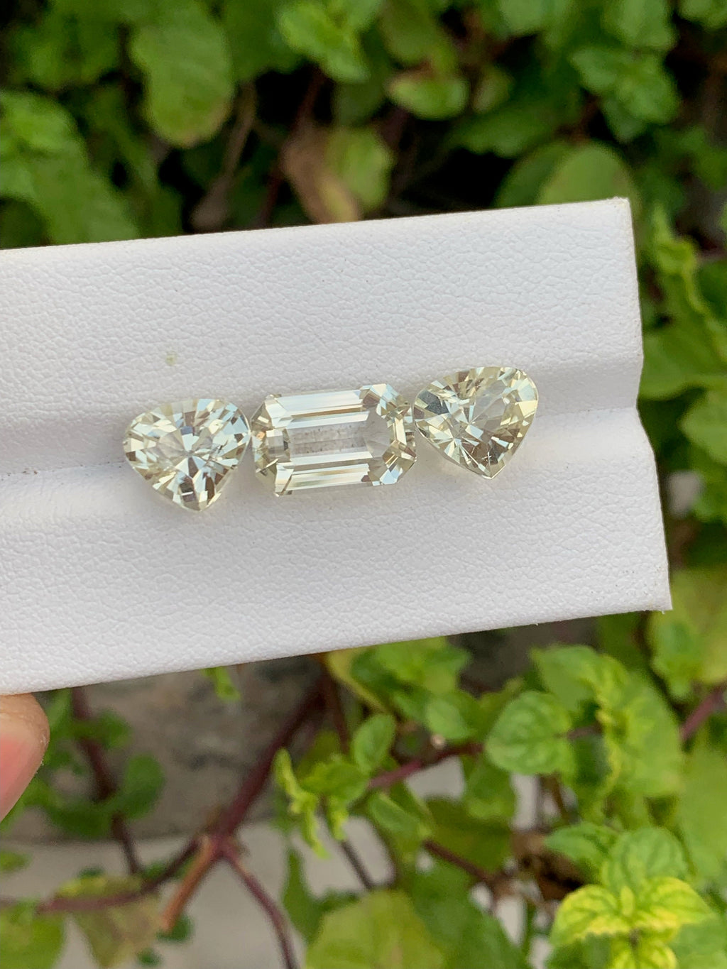 Natural yellow Kunzite set Gemstones - 15.05 Carats
