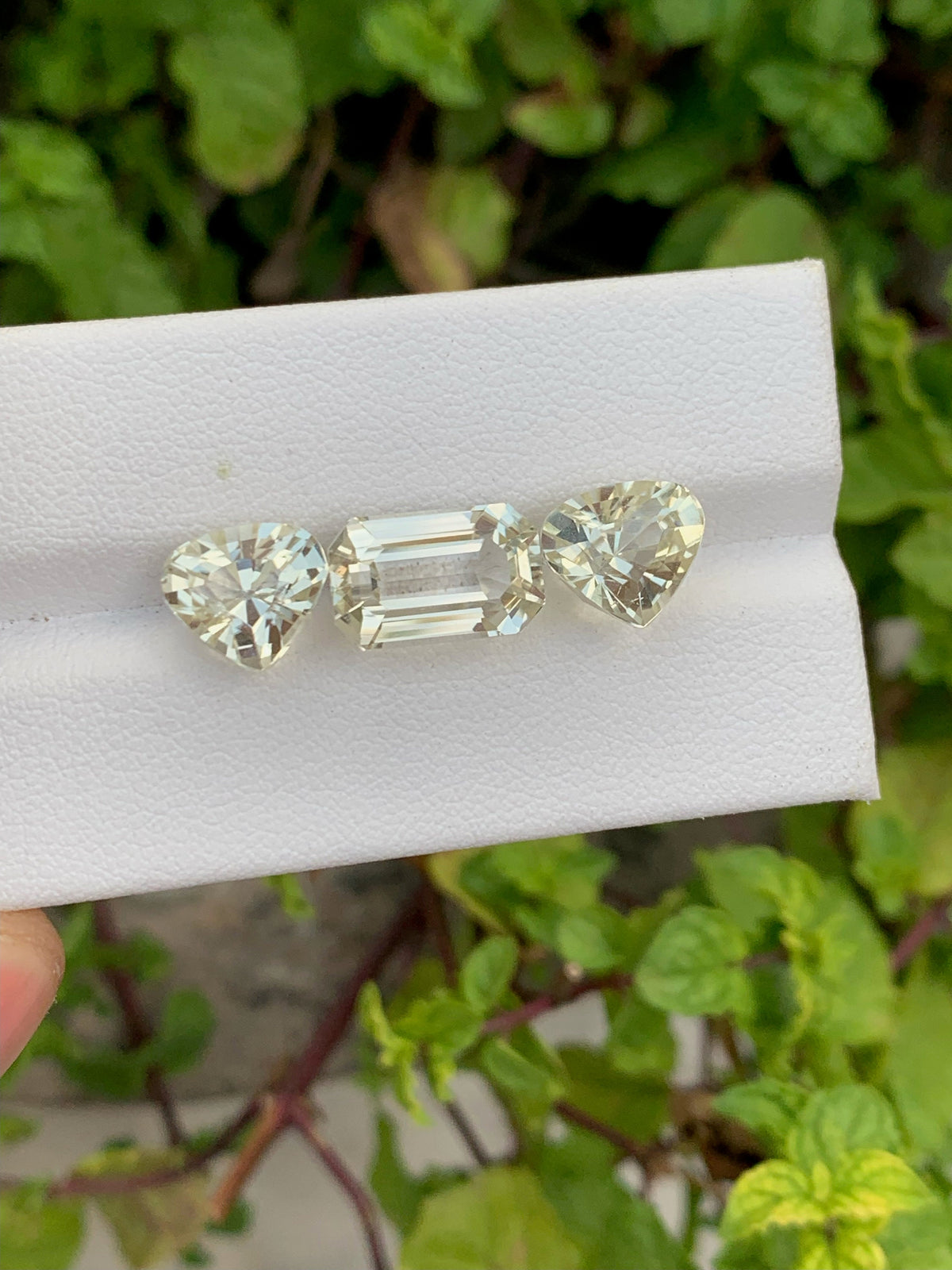 Natural yellow Kunzite set Gemstones - 15.05 Carats