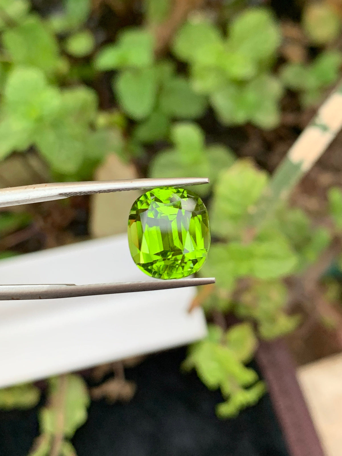 Cushion Cut Olive Peridot Gemstone: Natural VVS Clarity, 6.35 Carat
