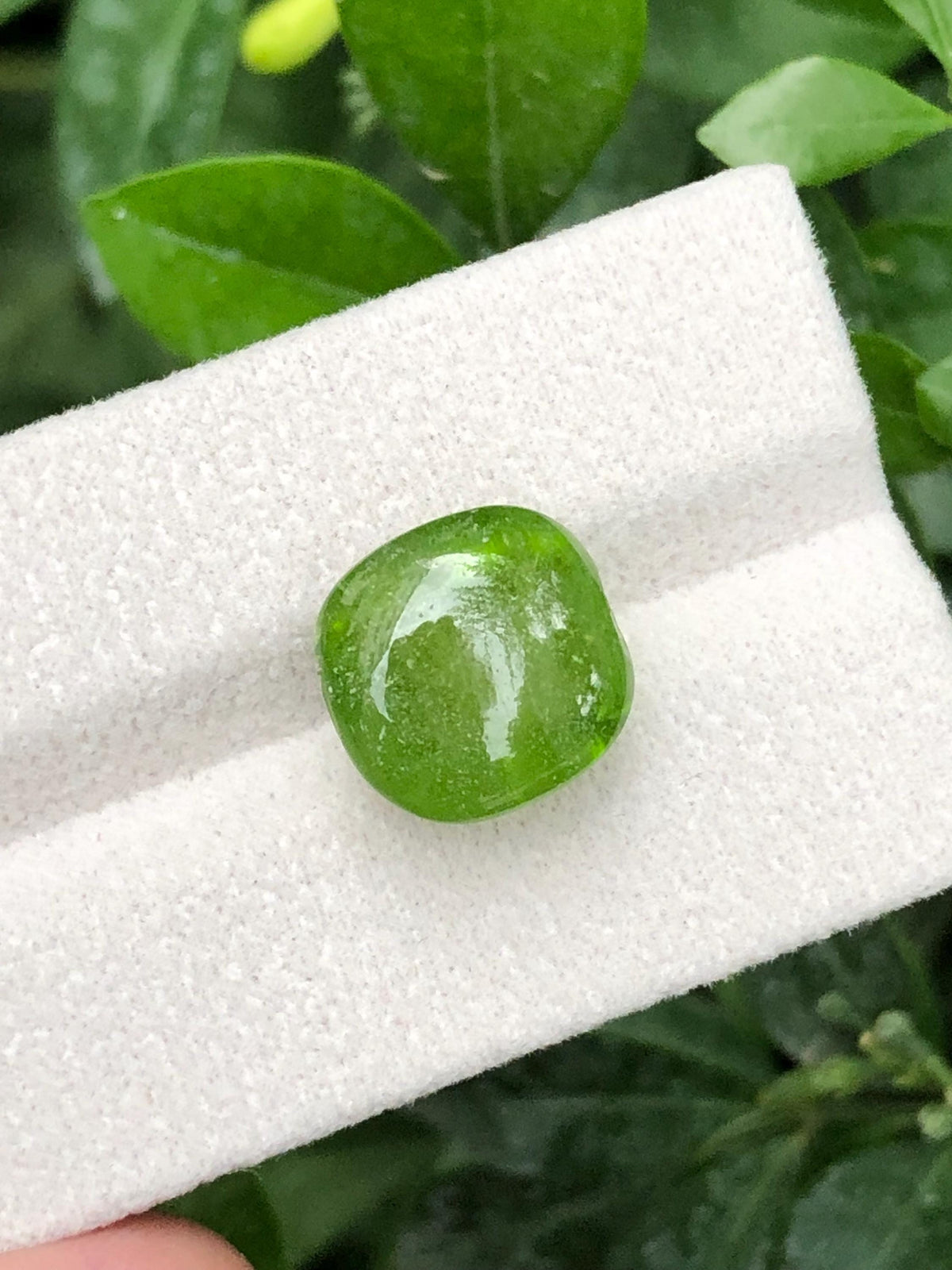 Green Peridot 14.15ct Cabochon Gemstone from Pakistan
