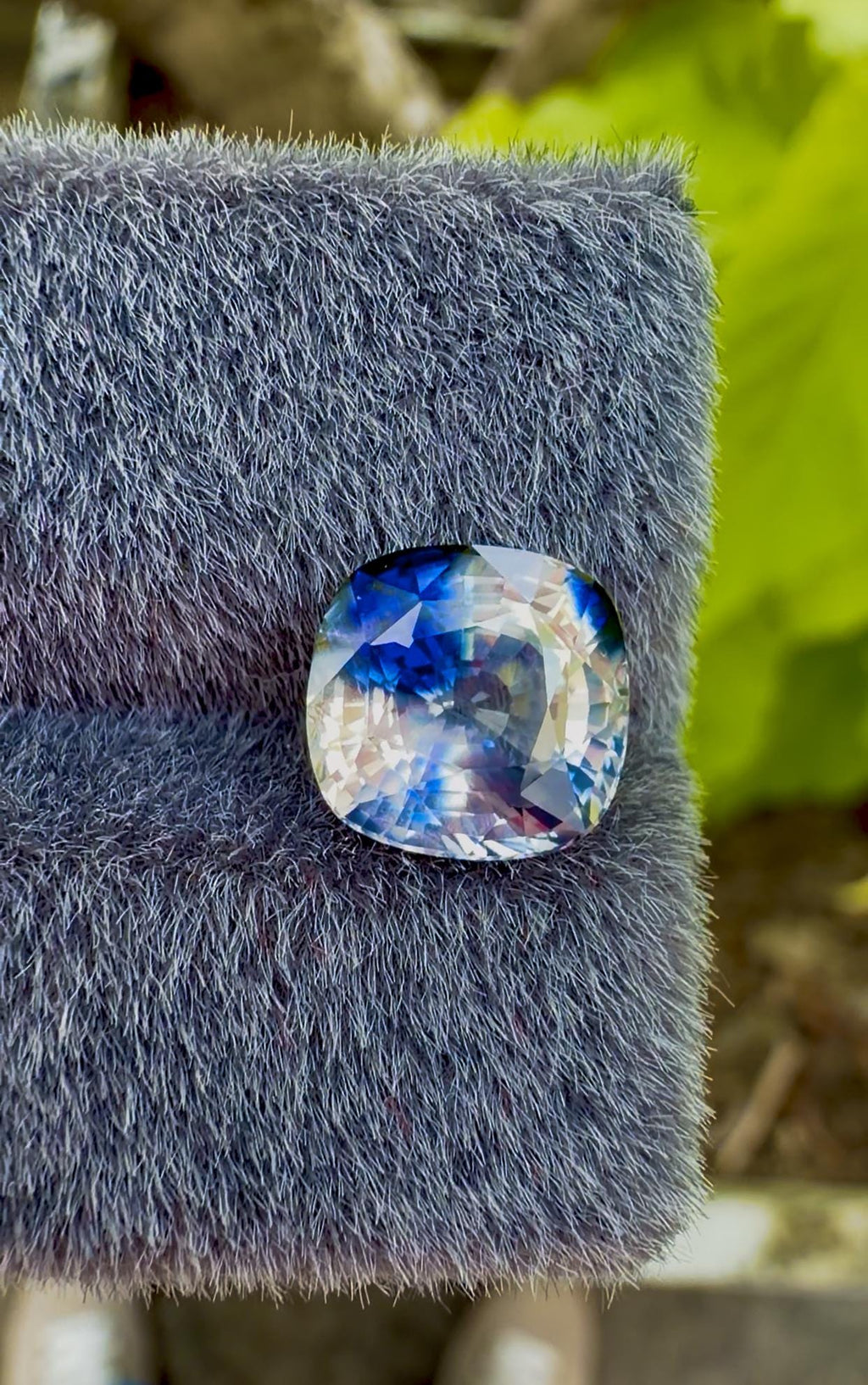 Bi Color Sapphire 4.40 ct Cushion Cut – sapphire Gem from Sri Lanka