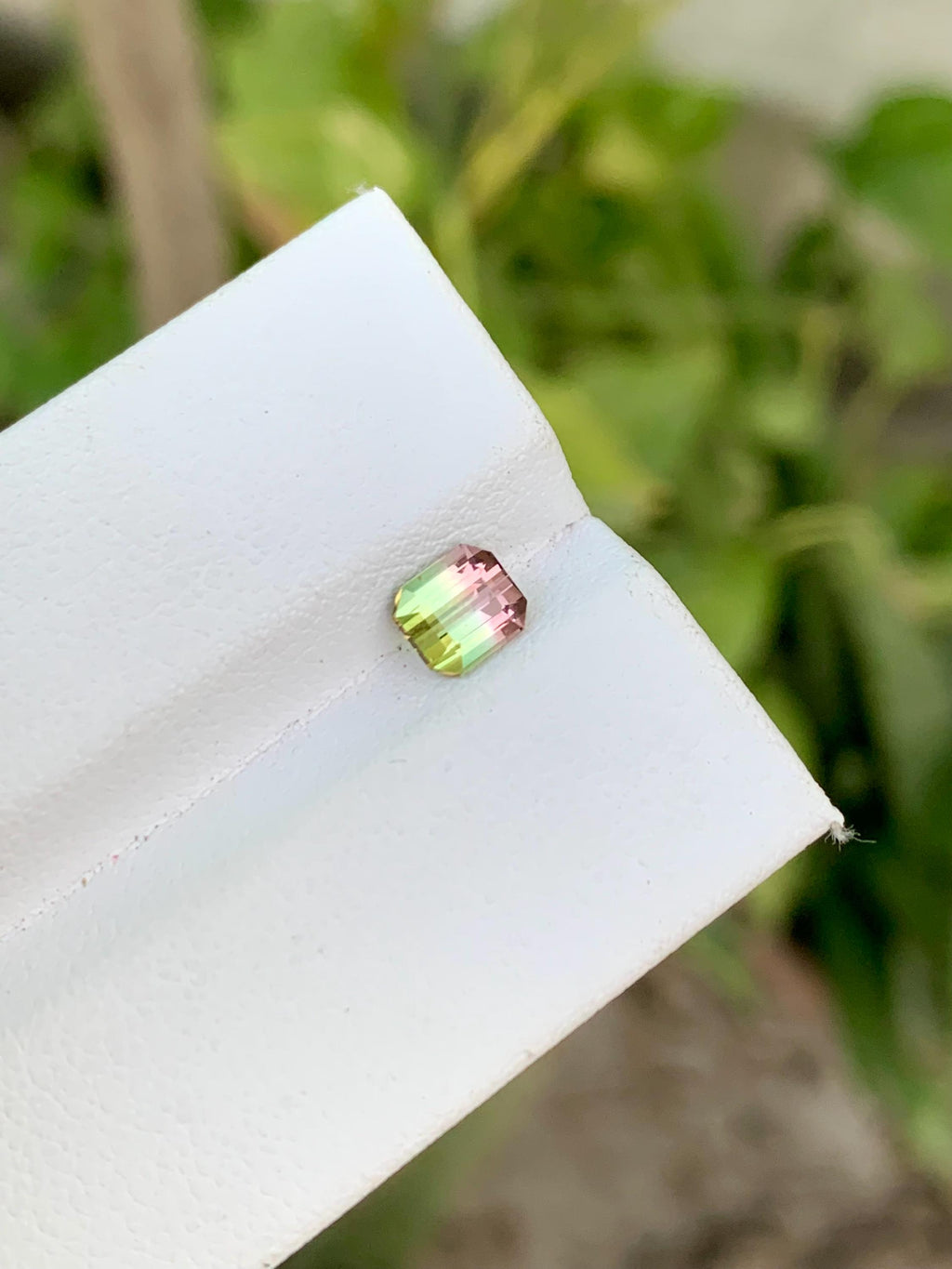 Watermelon Tourmaline Gemstone: Faceted Bi-Color Oval, 0.85 CT
