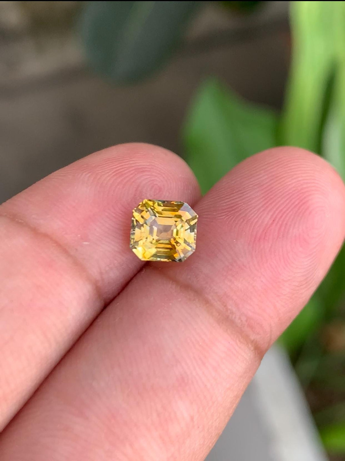2.12ct Faceted Yellow Sapphire Gemstone: Natural Untreated Corundum
