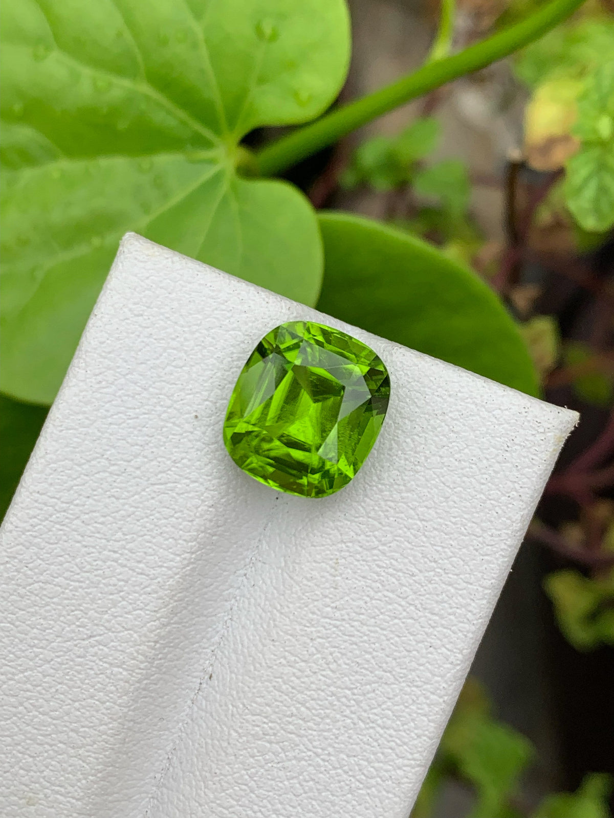 Lime Green Peridot Gemstone: 6.40 CT Cushion Cut, Eye Clean