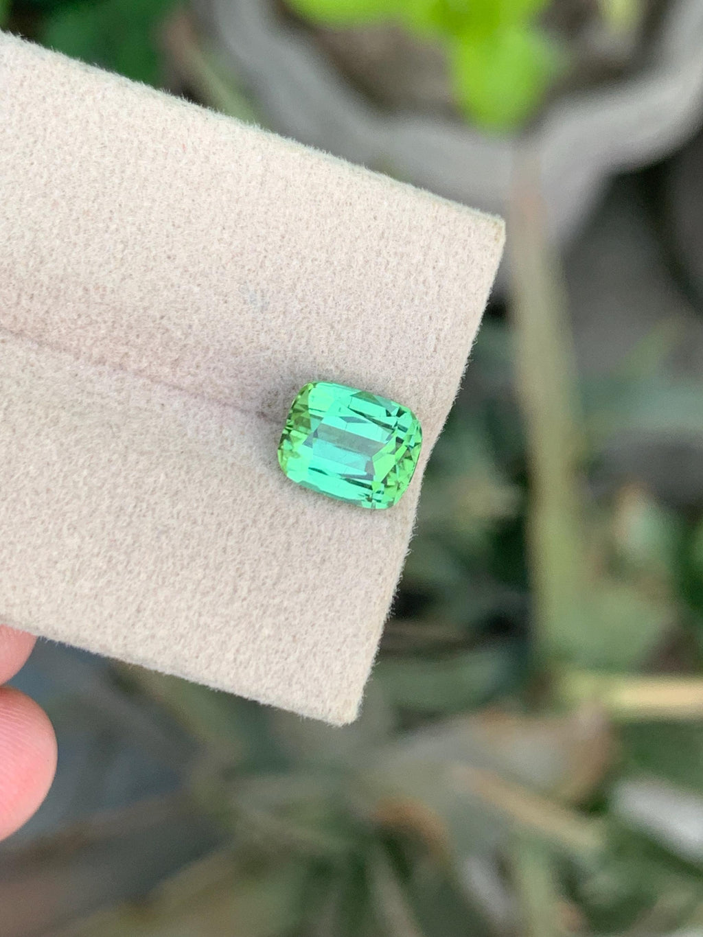 Bluish Green Tourmaline Gemstone: 2.50 CT Cushion Cut, Afghanistan
