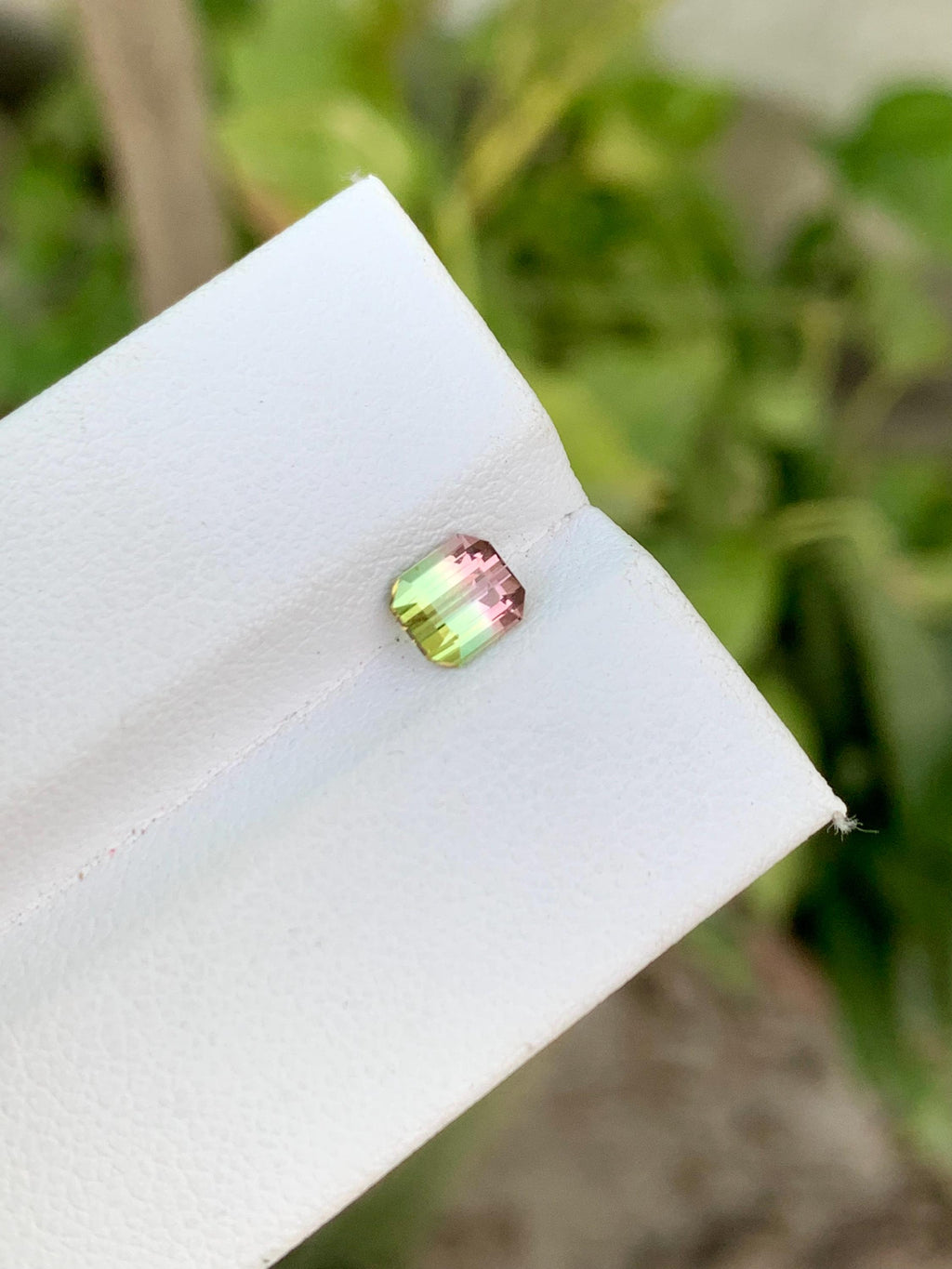 Watermelon Tourmaline Gemstone: Faceted Bi-Color Oval, 0.85 CT