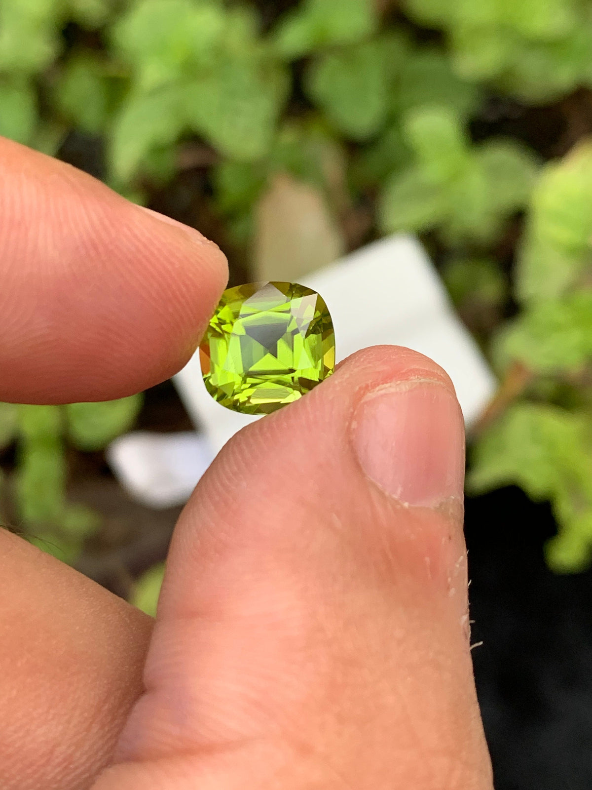 Olive Peridot Gemstone: 2.85 Carat Cushion Cut, VVS Clarity