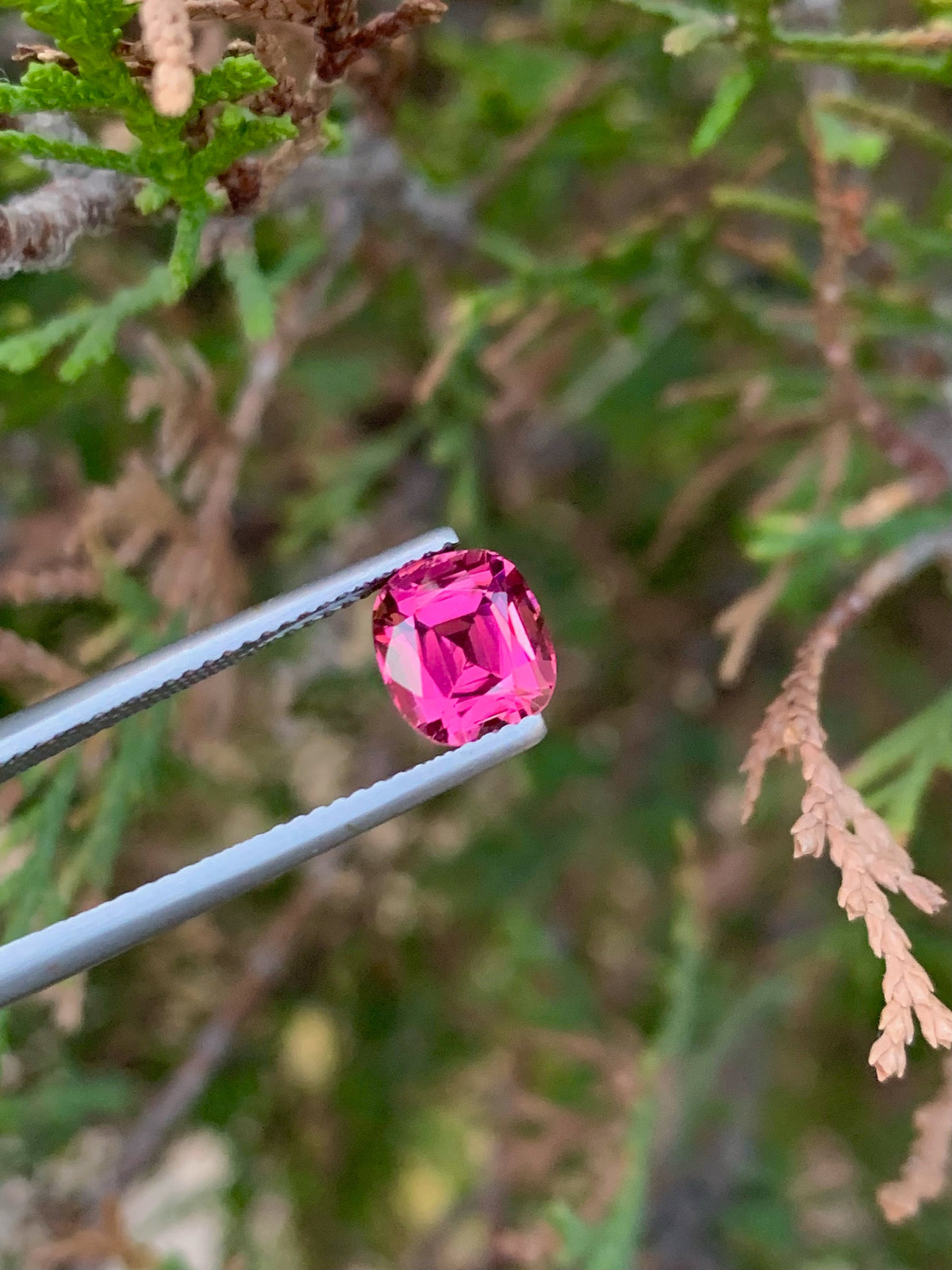 Natural Pink Tourmaline Gemstone: 2.00 CT Cushion Cut, Afghanistan Origin