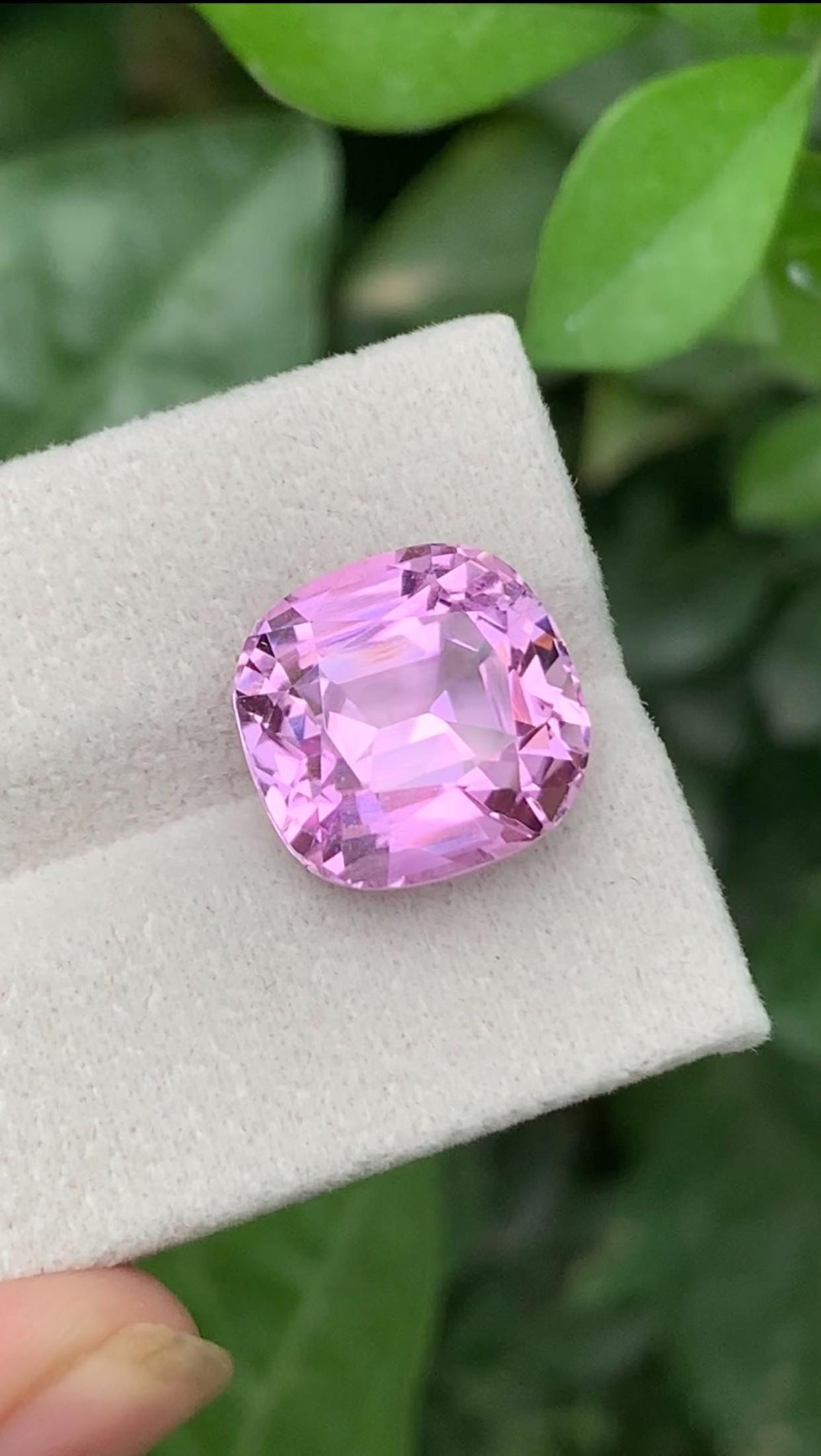 Certified Kunzite 12.80 ct Cushion Cut Pink — Afghanistan